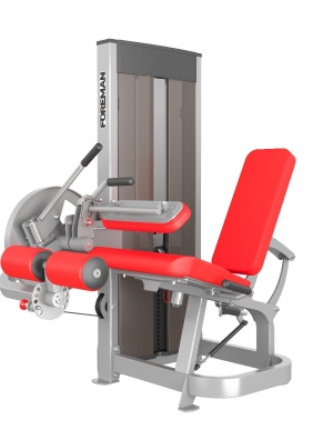 Leg extension/flexion machine (2 in 1)