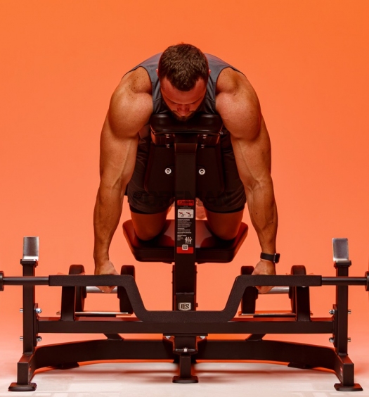 Multifunctional supported free weight row