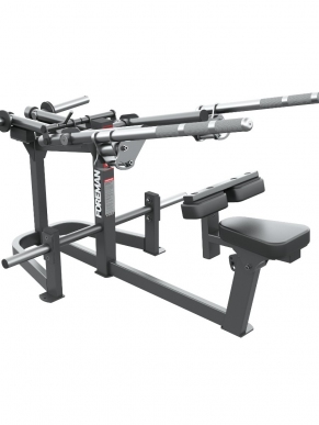 Adjustable weighted dips