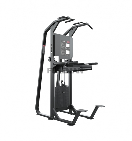 FS-806 CHIN/DIP ASSIST