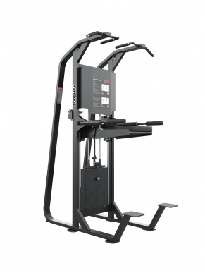 FS-806 CHIN/DIP ASSIST