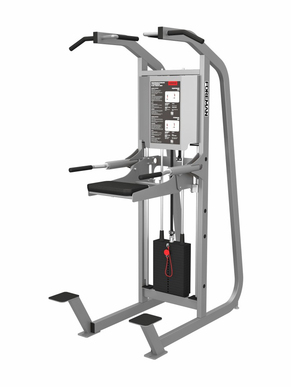 FS-806 CHIN/DIP ASSIST