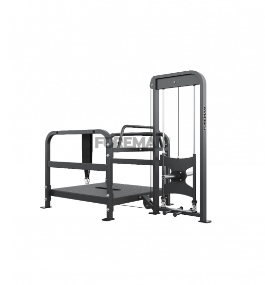 FP-113 BELT SQUAT MACHINE