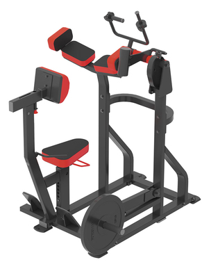 FP-207 Tricep Machine