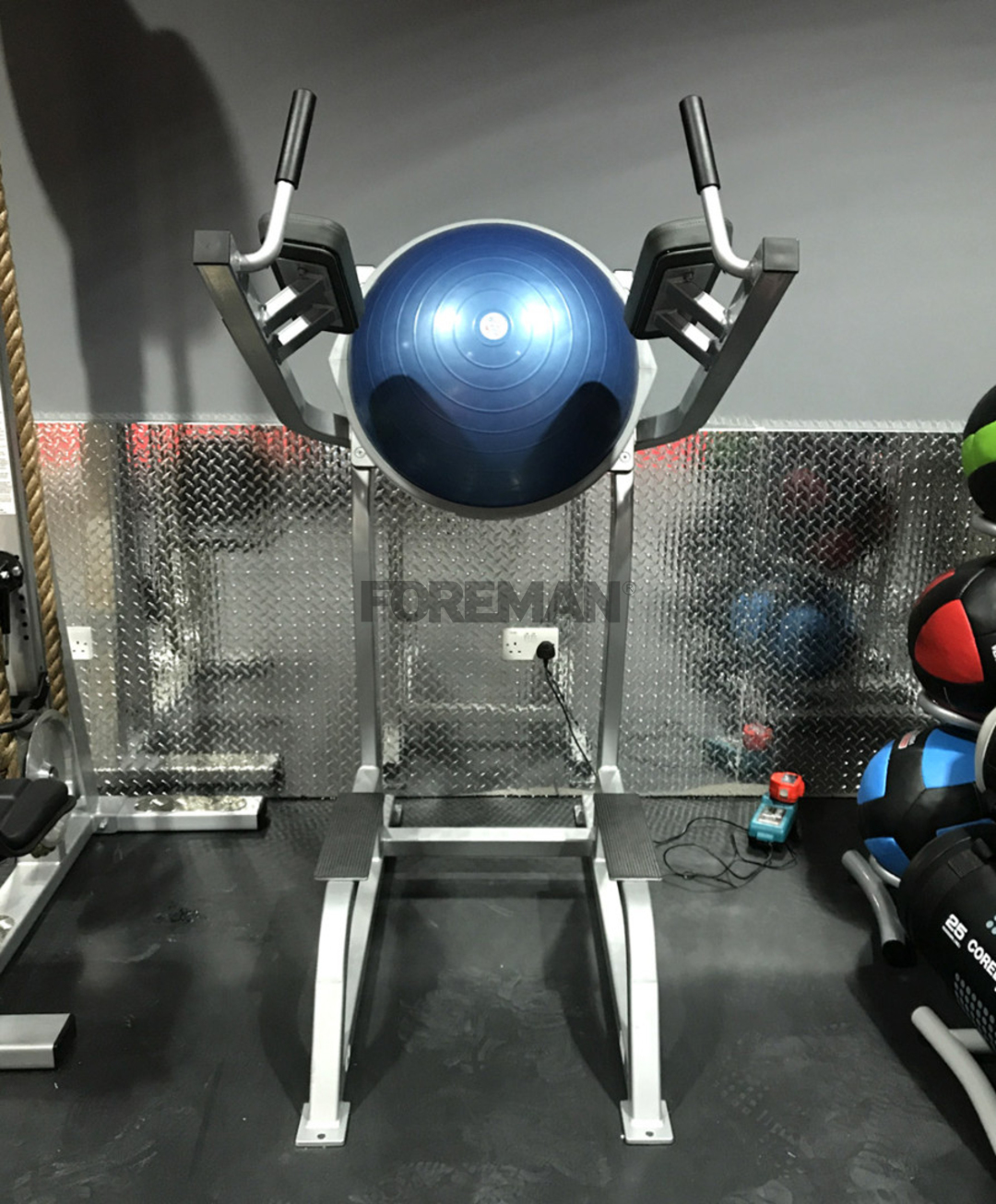 Life fitness bosu top ball leg raise