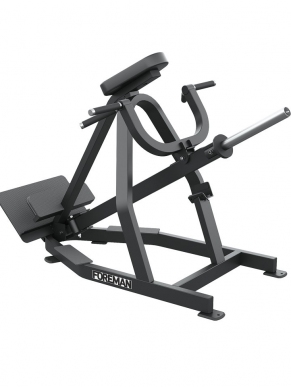 FP-310 Incline Lever Row