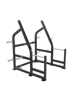 FW-819 SQUAT RACK