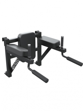 FY-279 Knee raise/Dip