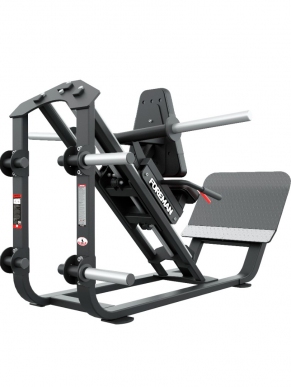 Hack Squats / Calf Raises