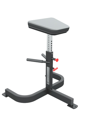 Support Bench for Dumbbell Rows