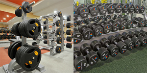 FREE WEIGHTS