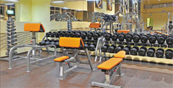 Free weights